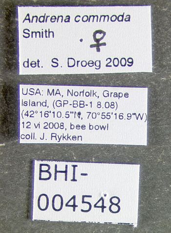 Media type: image;   Entomology 609468 Aspect: labels